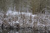 landgrafenschlucht-17-01-16-003