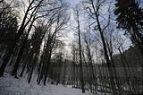landgrafenschlucht-17-01-16-007