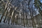 landgrafenschlucht-17-01-16-008