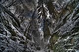 landgrafenschlucht-17-01-16-012