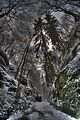 landgrafenschlucht-17-01-16-014