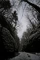 landgrafenschlucht-17-01-16-017