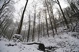 landgrafenschlucht-17-01-16-019