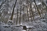 landgrafenschlucht-17-01-16-020