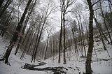 landgrafenschlucht-17-01-16-021