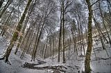 landgrafenschlucht-17-01-16-022