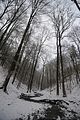 landgrafenschlucht-17-01-16-023