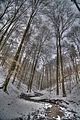 landgrafenschlucht-17-01-16-024