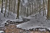 landgrafenschlucht-17-01-16-026