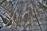 landgrafenschlucht-17-01-16-030