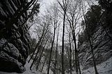 landgrafenschlucht-17-01-16-031