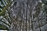 landgrafenschlucht-17-01-16-032