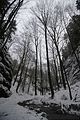 landgrafenschlucht-17-01-16-033