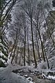 landgrafenschlucht-17-01-16-034