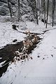 landgrafenschlucht-17-01-16-035