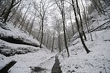 landgrafenschlucht-17-01-16-041