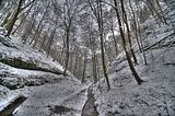 landgrafenschlucht-17-01-16-042
