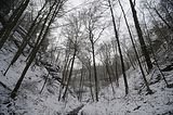 landgrafenschlucht-17-01-16-043