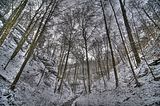 landgrafenschlucht-17-01-16-044