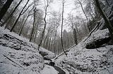 landgrafenschlucht-17-01-16-045