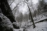 landgrafenschlucht-17-01-16-047