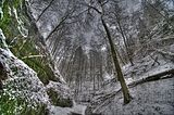 landgrafenschlucht-17-01-16-048