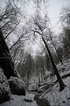 landgrafenschlucht-17-01-16-049