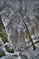 landgrafenschlucht-17-01-16-050