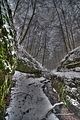 landgrafenschlucht-17-01-16-052