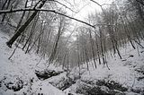 landgrafenschlucht-17-01-16-055