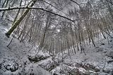 landgrafenschlucht-17-01-16-056