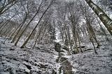 landgrafenschlucht-17-01-16-058