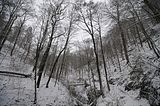 landgrafenschlucht-17-01-16-059