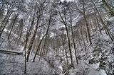 landgrafenschlucht-17-01-16-060