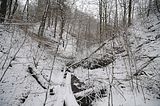 landgrafenschlucht-17-01-16-063