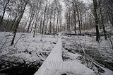 landgrafenschlucht-17-01-16-065