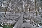 landgrafenschlucht-17-01-16-066