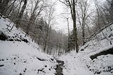 landgrafenschlucht-17-01-16-067