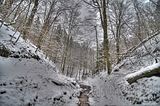 landgrafenschlucht-17-01-16-068