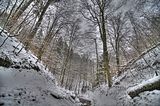 landgrafenschlucht-17-01-16-070