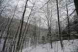 landgrafenschlucht-17-01-16-073