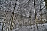 landgrafenschlucht-17-01-16-074