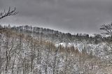 landgrafenschlucht-17-01-16-080