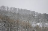 landgrafenschlucht-17-01-16-081