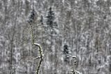 landgrafenschlucht-17-01-16-086