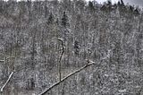 landgrafenschlucht-17-01-16-088