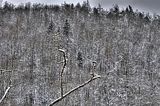 landgrafenschlucht-17-01-16-090