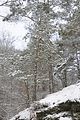 landgrafenschlucht-17-01-16-095