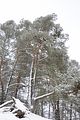 landgrafenschlucht-17-01-16-097