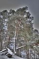 landgrafenschlucht-17-01-16-098